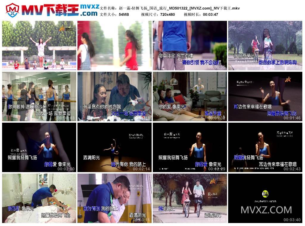 赵一霖-轻舞飞扬_国语_流行_MD501322